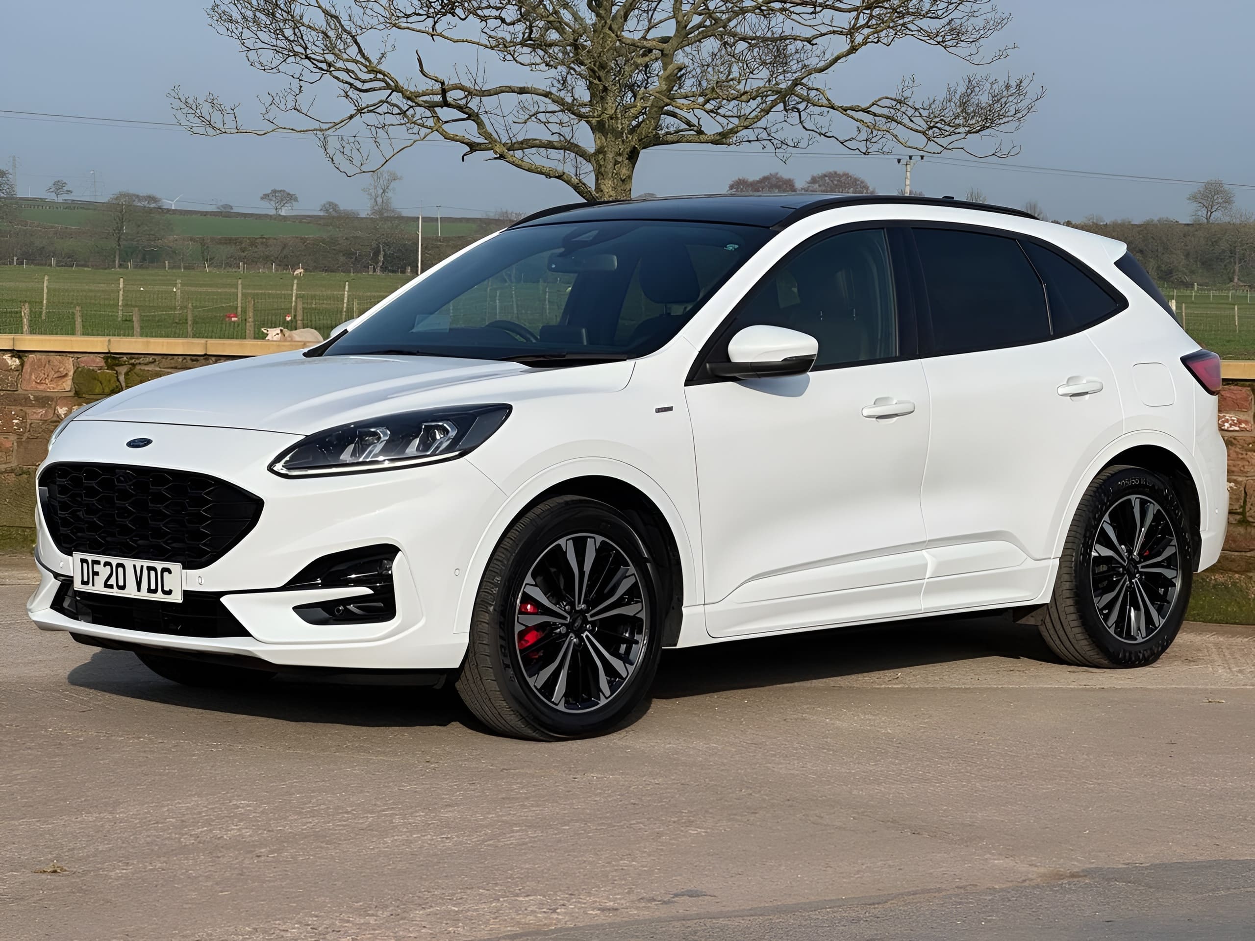 2020 Ford Kuga 2.0 EcoBlue ST-Line X First Edition