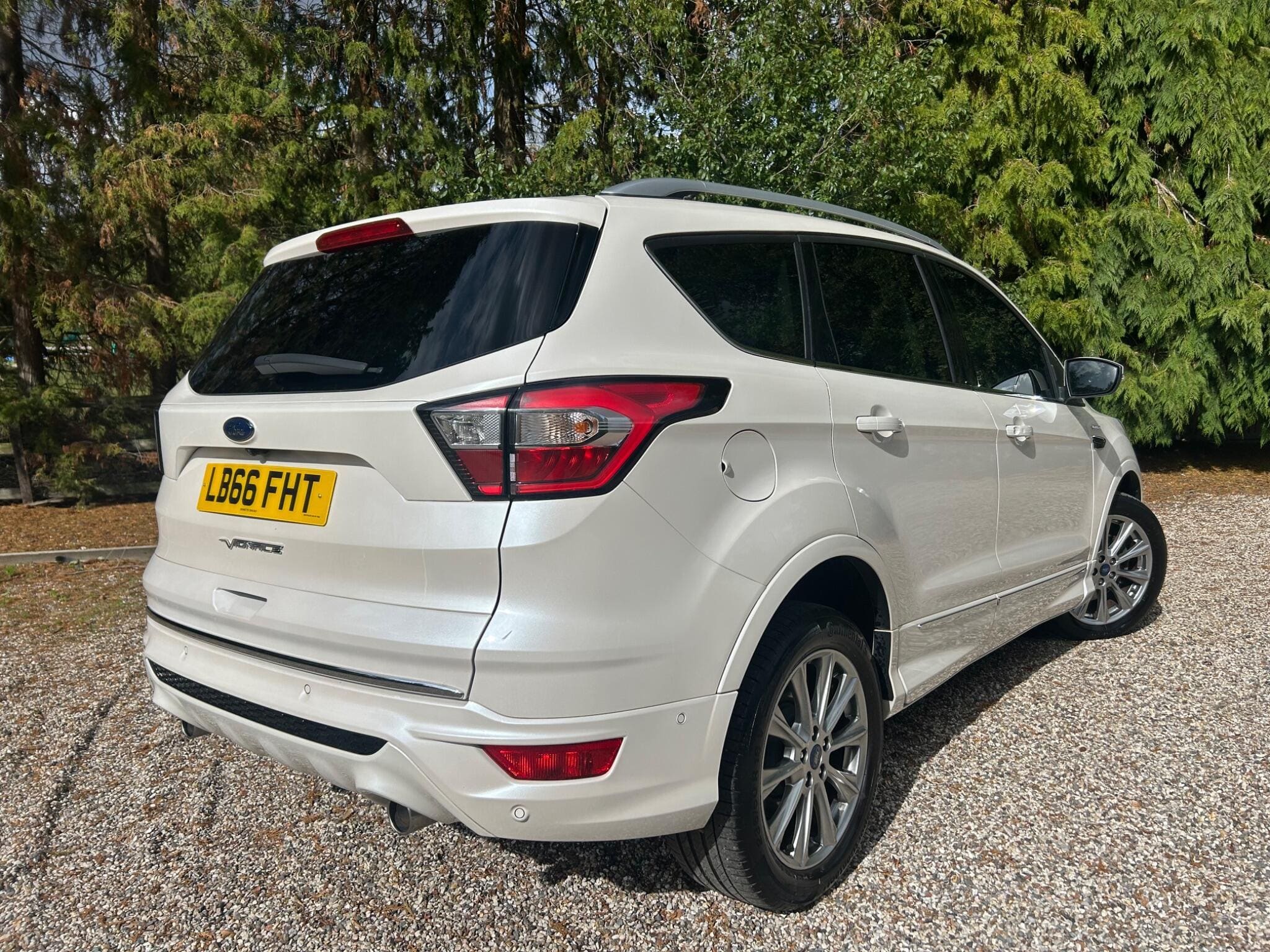 2016 Ford Kuga 2.0 TDCi EcoBlue Vignale Powershift AWD Euro 6 — photo 2